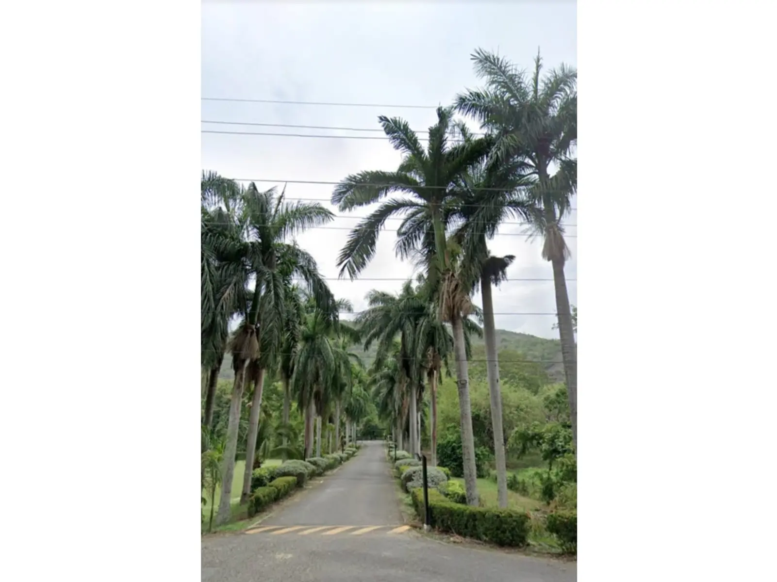 Lote en Venta en Santafe de antioquia - imagen 6