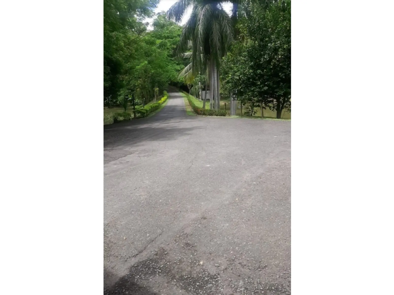 Lote en Venta en Santafe de antioquia - imagen 8