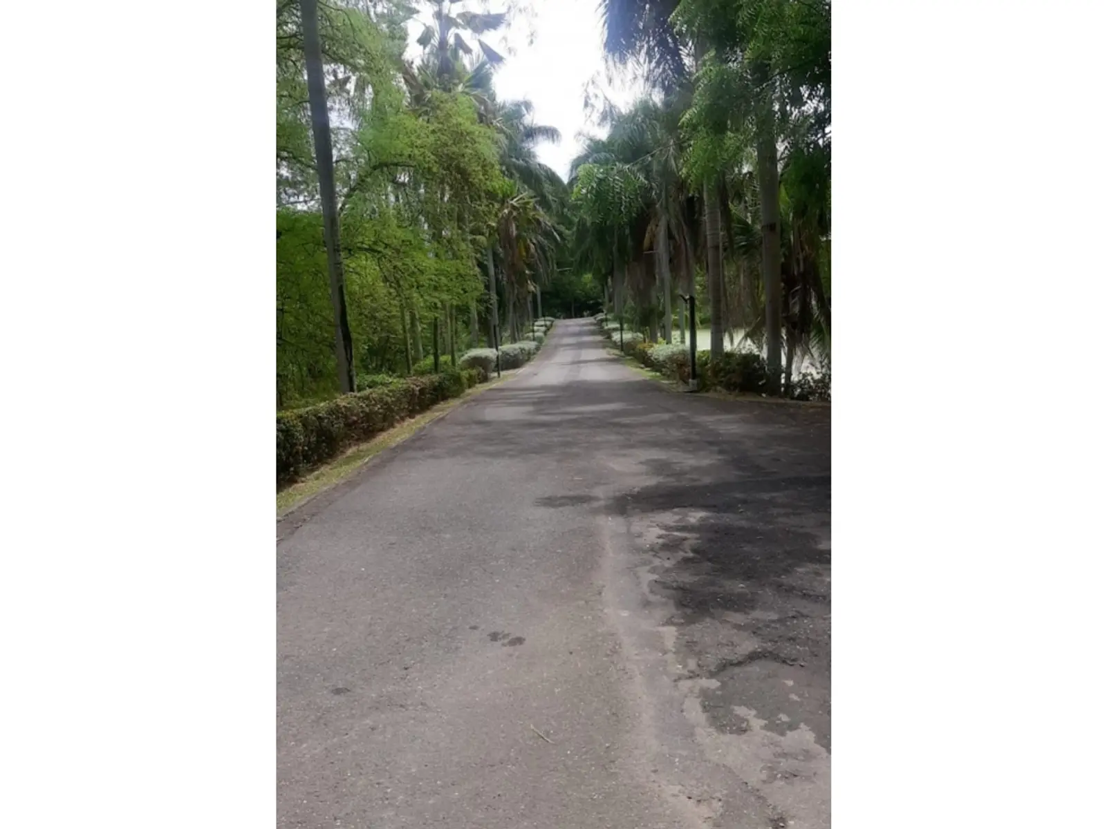 Lote en Venta en Santafe de antioquia - imagen 9
