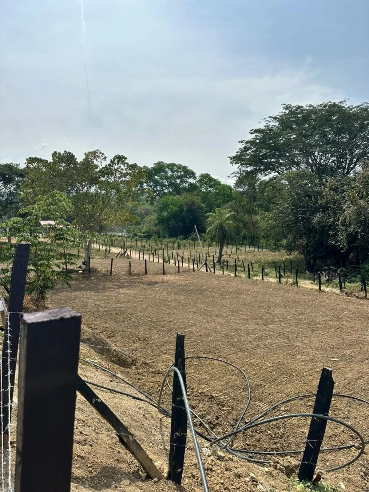 Lote en Venta en La miranda - imagen 3