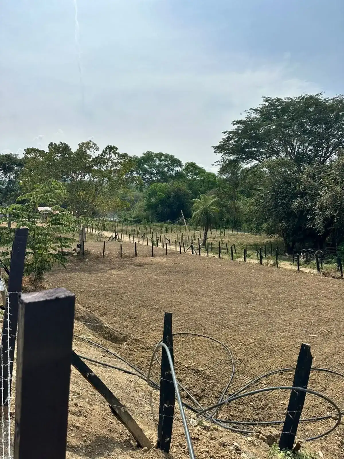 Lote en Venta en La miranda - imagen 6